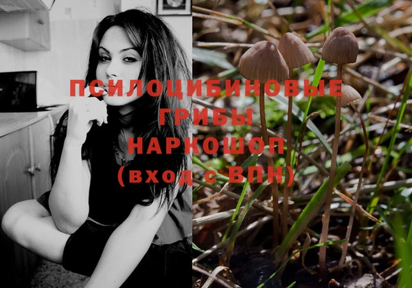 герыч Новодвинск