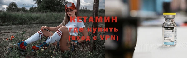 твердый Новозыбков