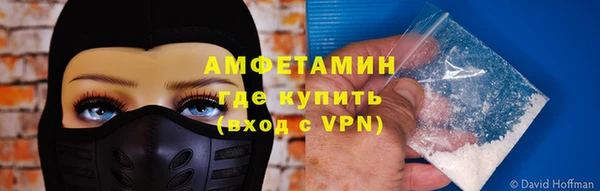 твердый Новозыбков