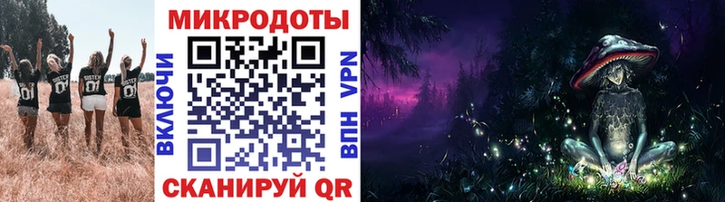 кракен онион Тырныауз Псилоцибиновые грибы Cubensis